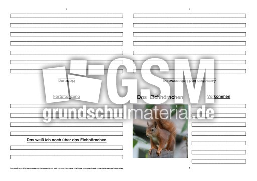 Eichhörnchen-Faltbuch-Steckbrief-vierseitig-1.pdf